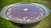 Blueberry Yogurt