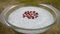 Chia Pudding with Cashew Cream