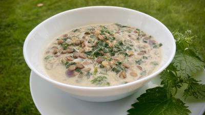 Green Lentil and Nettle Casserole