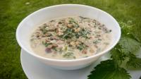 Green Lentil and Nettle Casserole