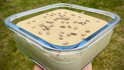 Sunflower Seed Cheese