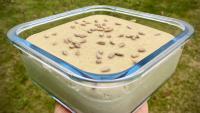 Sunflower Seed Cheese