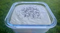 Sweet Millet Topping