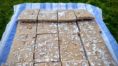 Whole-Grain Flatbread